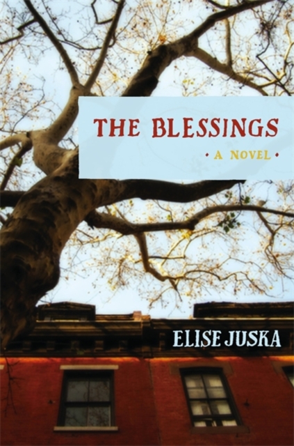 The Blessings, Hardback Book