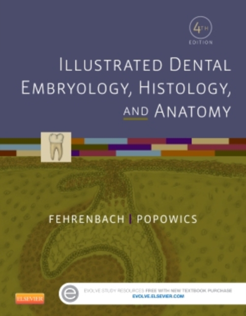 Illustrated Dental Embryology, Histology, and Anatomy, Paperback / softback Book