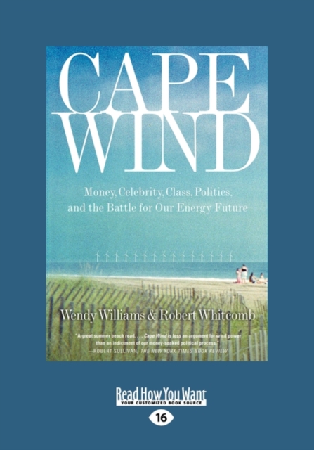 Cape Wind : Money, Celebrity, Class, Politics, and the Battle for Our Energy Future, Paperback Book
