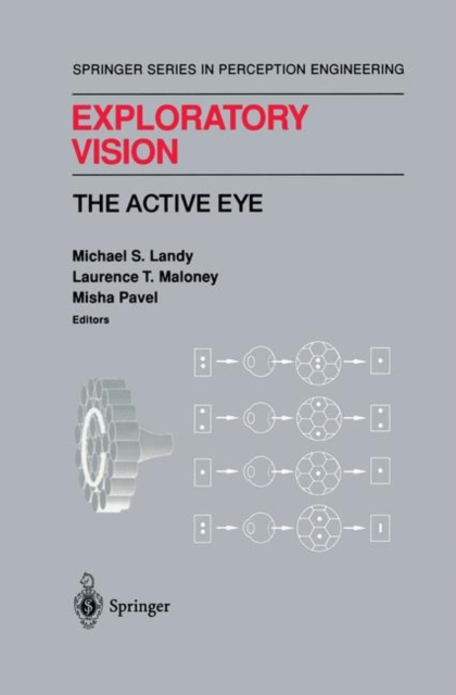 Exploratory Vision : The Active Eye, Paperback / softback Book