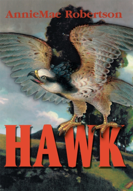 Hawk, EPUB eBook