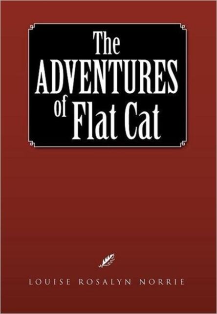 The Adventures of Flat Cat, Hardback Book