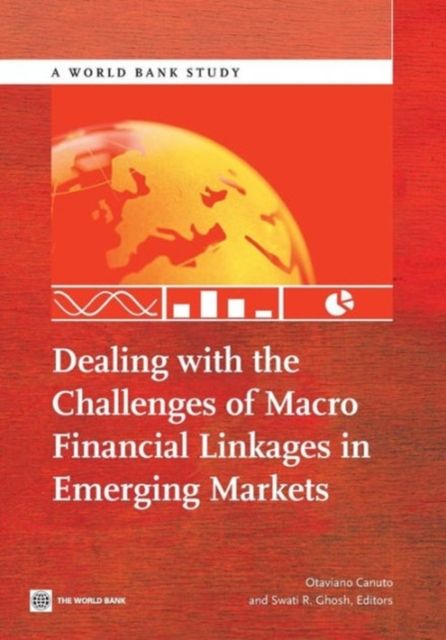 Dealing with the challenges of macro financial linkages in emerging markets, Paperback / softback Book