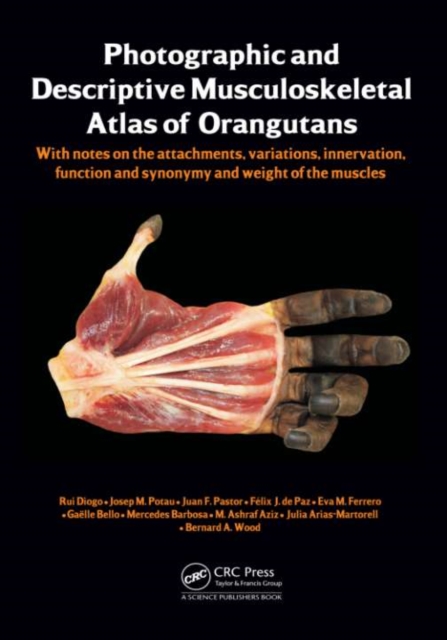 Photographic and Descriptive Musculoskeletal Atlas of Orangutans : with notes on the attachments, variations, innervations, function and synonymy and weight of the muscles, PDF eBook