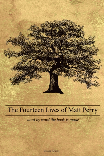 The Fourteen Lives of Matt Perry, EPUB eBook