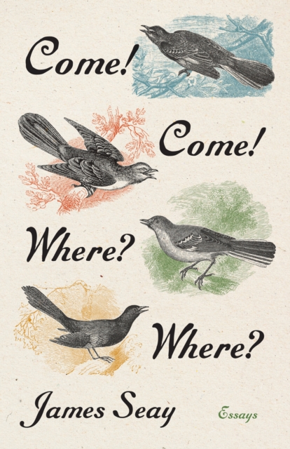 Come! Come! Where? Where? : Essays, EPUB eBook