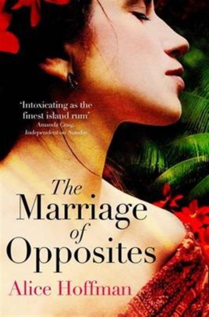 The Marriage of Opposites, Paperback / softback Book