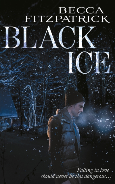 Black Ice, Paperback / softback Book