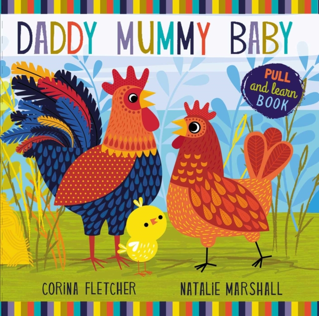 Daddy, Mummy, Baby, Novelty book Book