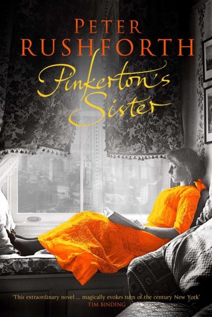 Pinkerton's Sister, EPUB eBook