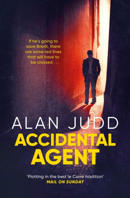 Accidental Agent, EPUB eBook