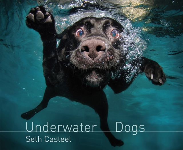 Underwater Dogs, Paperback / softback Book