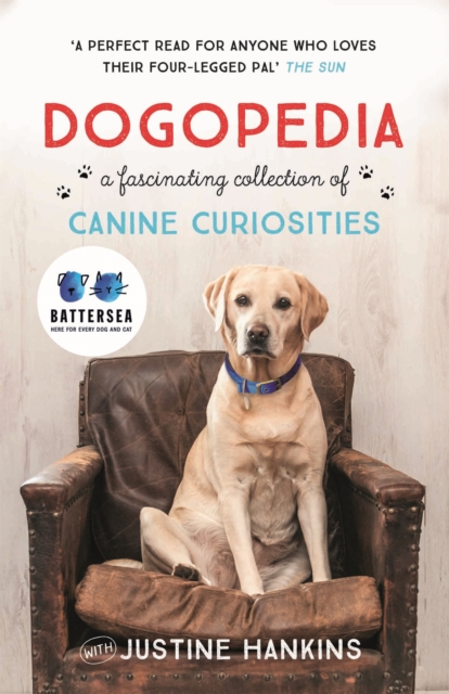 Dogopedia : A Compendium of Canine Curiosities, Paperback / softback Book