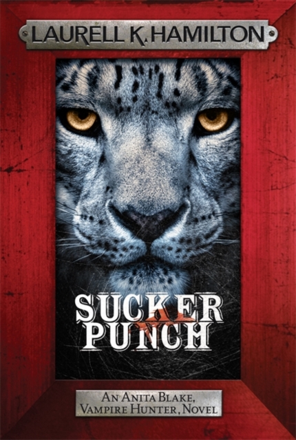 Sucker Punch, Paperback Book