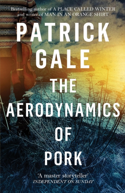 The Aerodynamics of Pork, Paperback / softback Book
