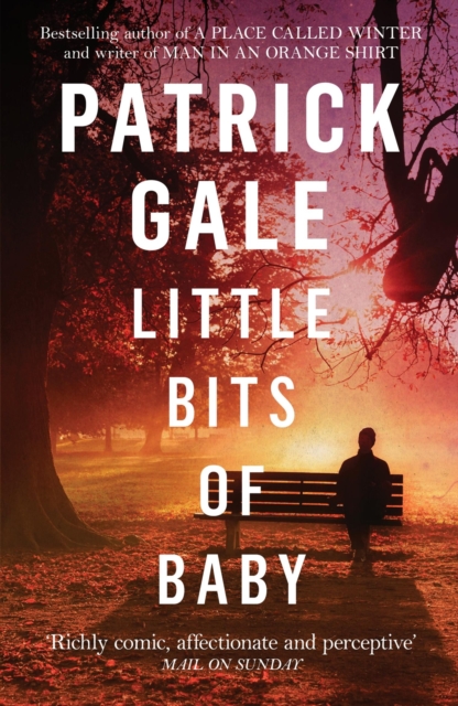 Little Bits of Baby, Paperback / softback Book