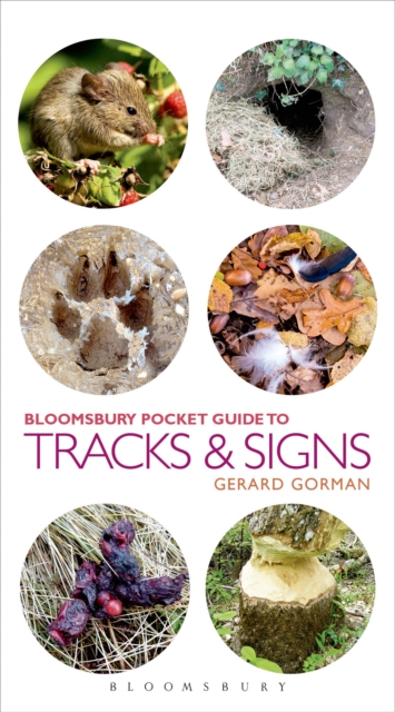 Pocket Guide To Tracks and Signs, Paperback / softback Book