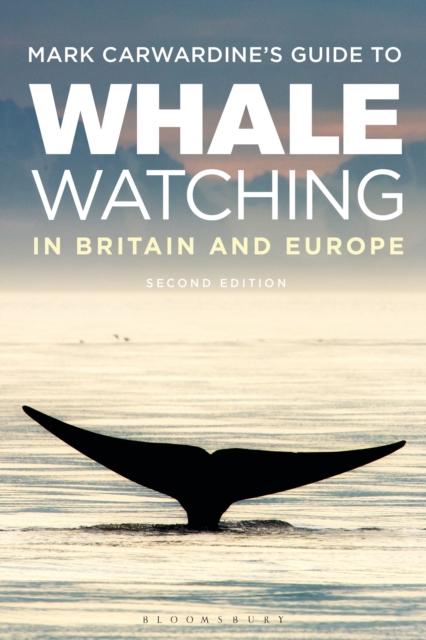 Mark Carwardine's Guide To Whale Watching In Britain And Europe : Second Edition, Paperback / softback Book