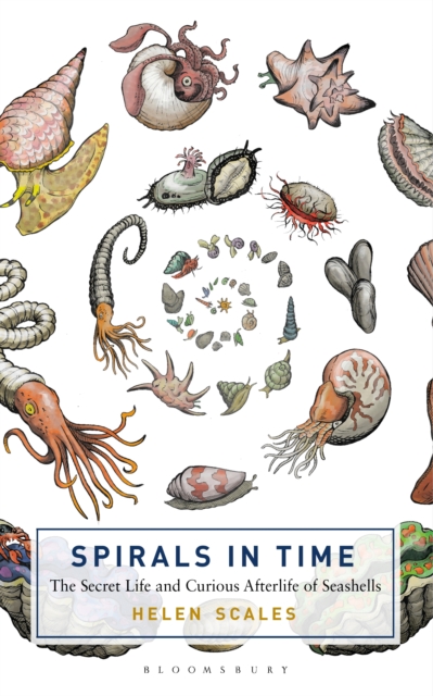 Spirals in Time : The Secret Life and Curious Afterlife of Seashells, EPUB eBook
