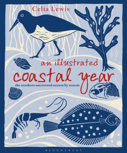 An Illustrated Coastal Year : The Seashore Uncovered Season by Season, Hardback Book