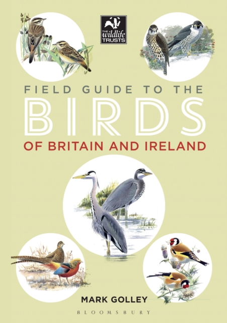 Field Guide to the Birds of Britain and Ireland, Paperback / softback Book