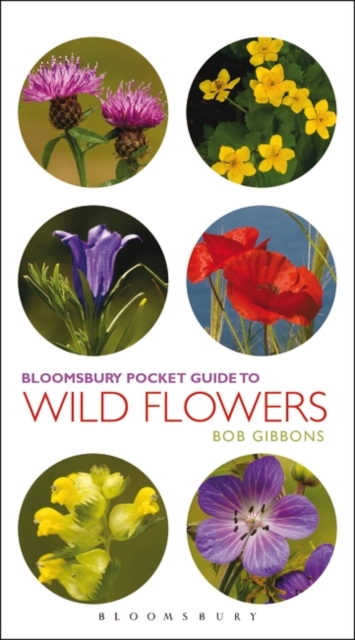 Pocket Guide To Wild Flowers, PDF eBook