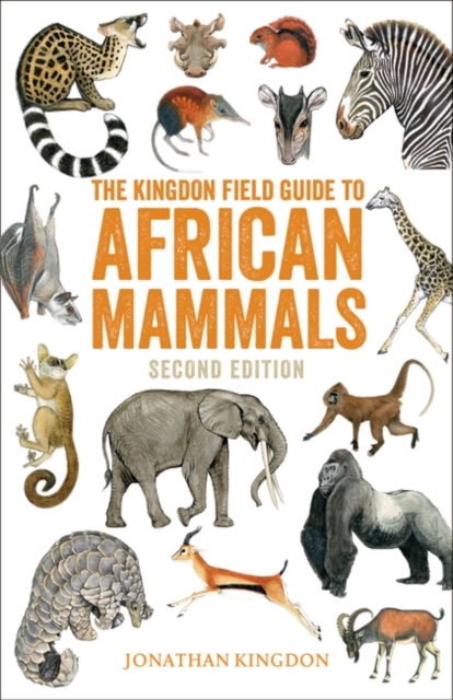 The Kingdon Field Guide to African Mammals : Second Edition, PDF eBook