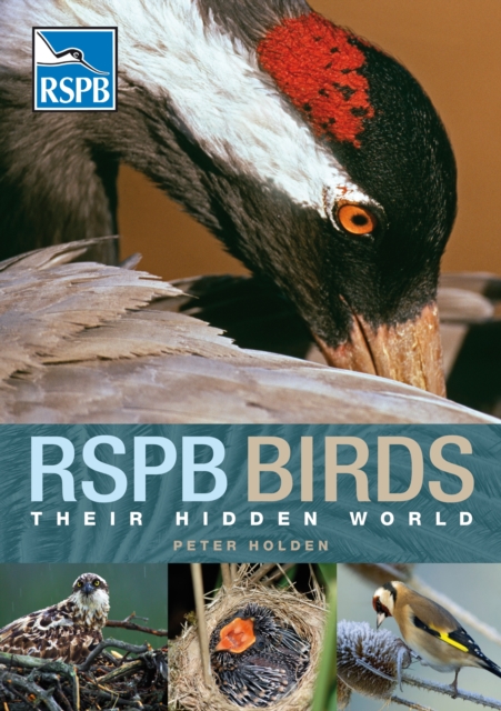 RSPB Birds: Their Hidden World, EPUB eBook