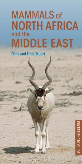Mammals of North Africa and the Middle East, Paperback / softback Book