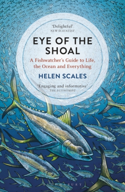 Eye of the Shoal : A Fishwatcher's Guide to Life, the Ocean and Everything, Paperback / softback Book