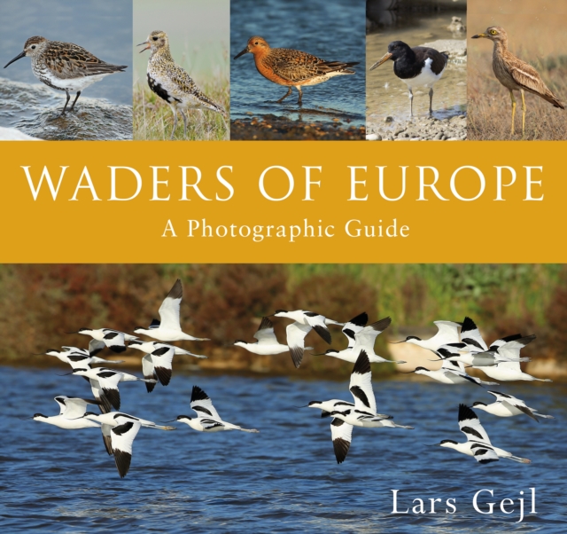 Waders of Europe, PDF eBook