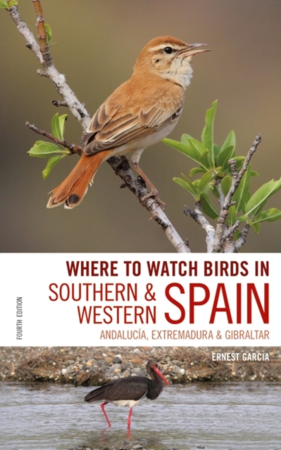 Where to Watch Birds in Southern and Western Spain : Andalucia, Extremadura and Gibraltar, EPUB eBook