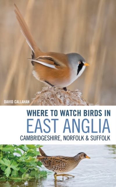 Where to Watch Birds in East Anglia : Cambridgeshire, Norfolk and Suffolk, Paperback / softback Book