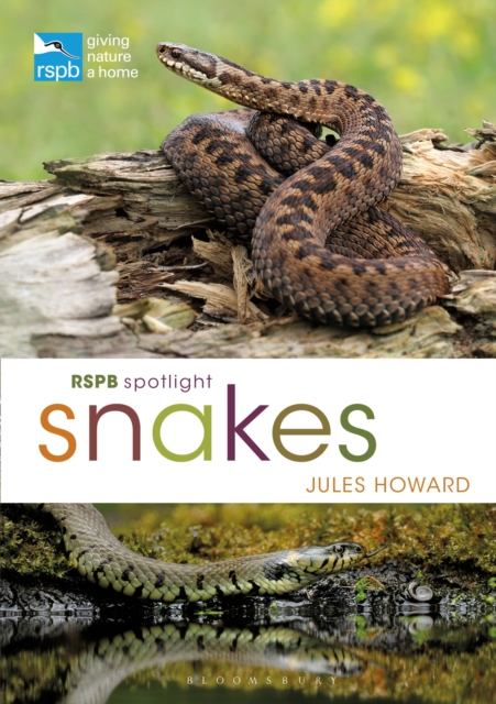 Rspb Spotlight Snakes, Paperback / softback Book