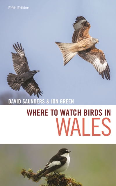 Where to Watch Birds in Wales, Paperback / softback Book