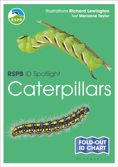 RSPB ID Spotlight - Caterpillars, Fold-out book or chart Book