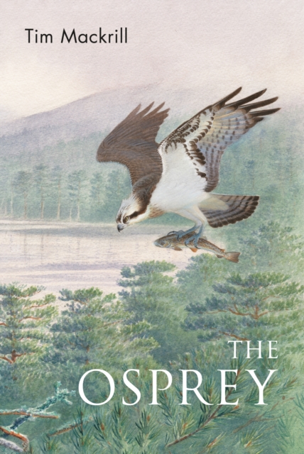 The Osprey, PDF eBook