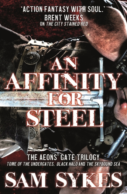 An Affinity for Steel : The Aeons' Gate Trilogy, EPUB eBook