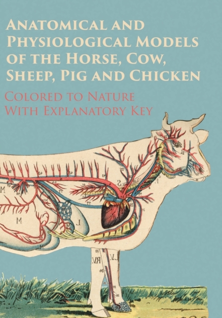 Anatomical and Physiological Models of the Horse, Cow, Sheep, Pig and Chicken - Colored to Nature - With Explanatory Key, Paperback / softback Book