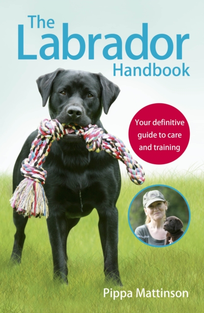 The Labrador Handbook : The definitive guide to training and caring for your Labrador, EPUB eBook