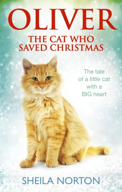 Oliver The Cat Who Saved Christmas, EPUB eBook