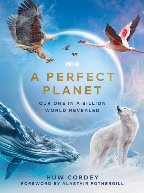 A Perfect Planet, EPUB eBook