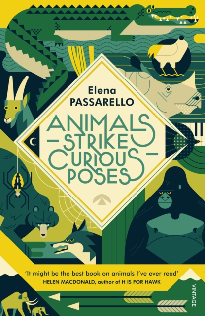 Animals Strike Curious Poses, EPUB eBook