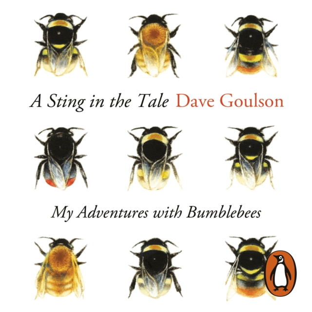 A Sting in the Tale, eAudiobook MP3 eaudioBook