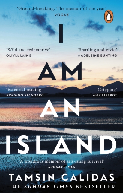 I Am An Island : The Sunday Times bestselling memoir of one woman’s search for belonging, EPUB eBook