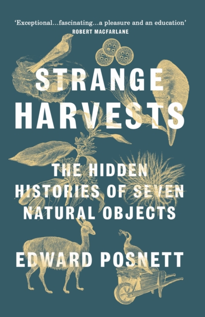 Strange Harvests : The Hidden Histories of Seven Natural Objects, EPUB eBook