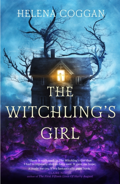 The Witchling's Girl : An atmospheric, beautifully written YA novel about magic, self-sacrifice and one girl's search for who she really is, Hardback Book