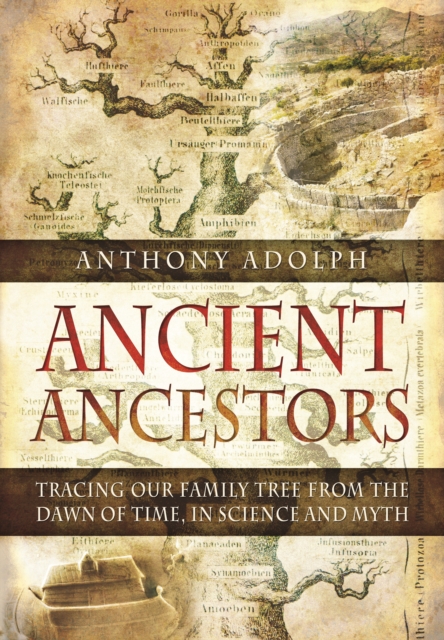 In Search of Our Ancient Ancestors, Hardback Book