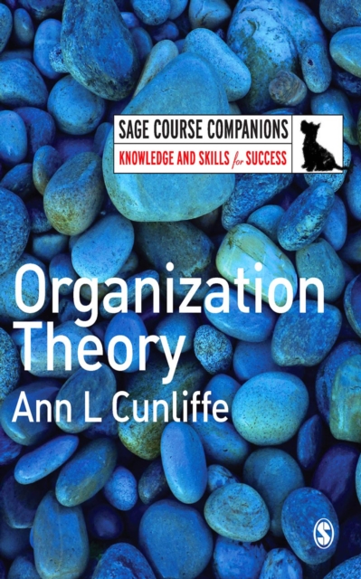 Organization Theory, EPUB eBook
