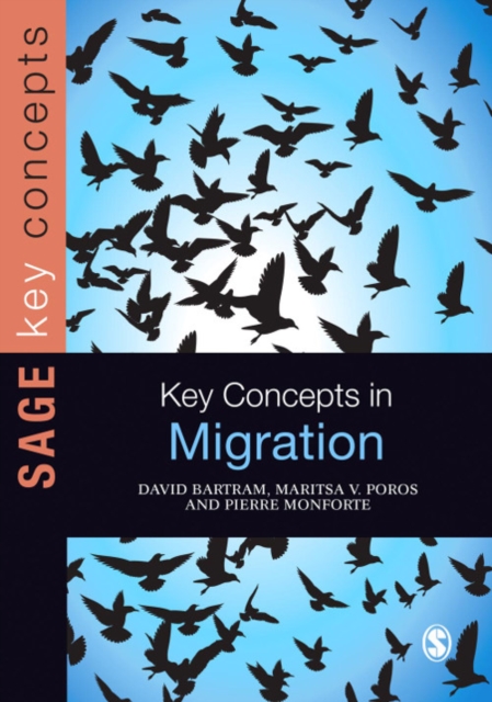 Key Concepts in Migration, EPUB eBook